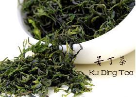 Ku Ding Tea Small Leaf Ku Ding Tea From E-Mei Mountain.
