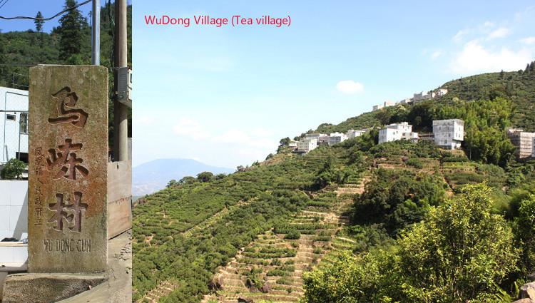 Zhi Lan Xiang Orchid Flavor Dancong Tea Of Phoenix Dancong Tea